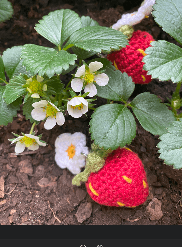 Porte-clé fraise