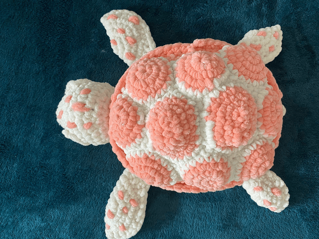Océane la tortue de mer 