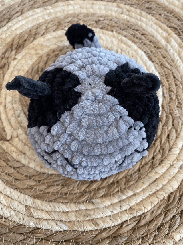 Bun cat 