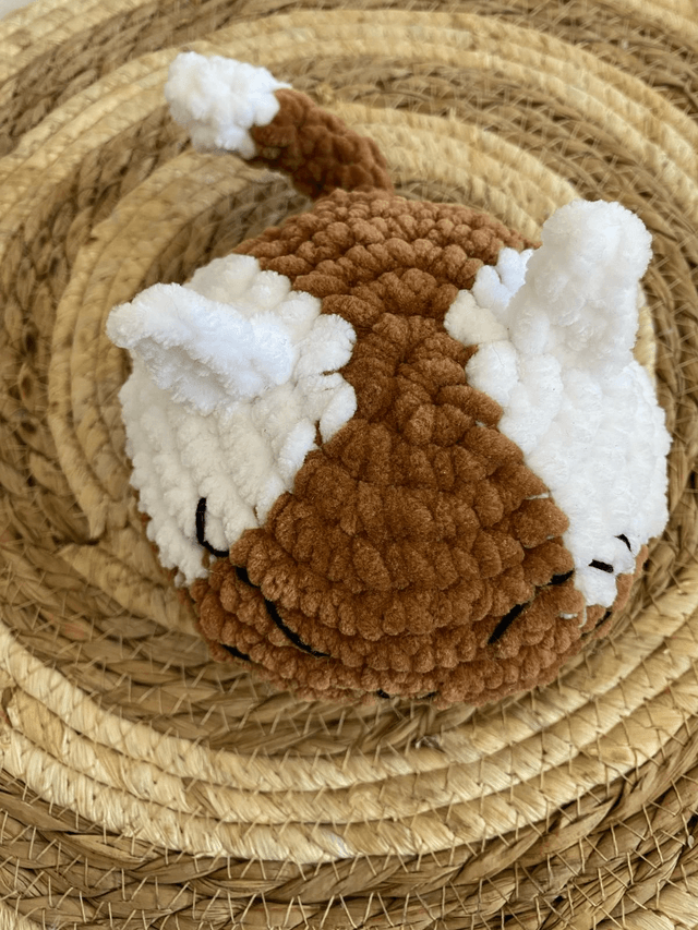 Bun cat 
